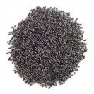 Frontier Herb Poppy Seed (1x1lb)