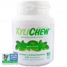 Xylichew Spearmint (4x60 PC)